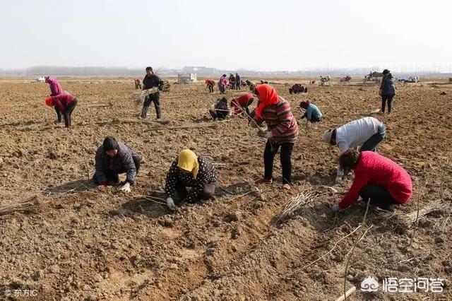 今日特码科普！2024澳门天天开好彩大全4949开奖网,百科词条爱好_2024最快更新