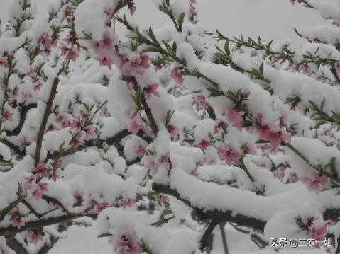 今日特码科普！香港九龙精准特网站,百科词条爱好_2024最快更新